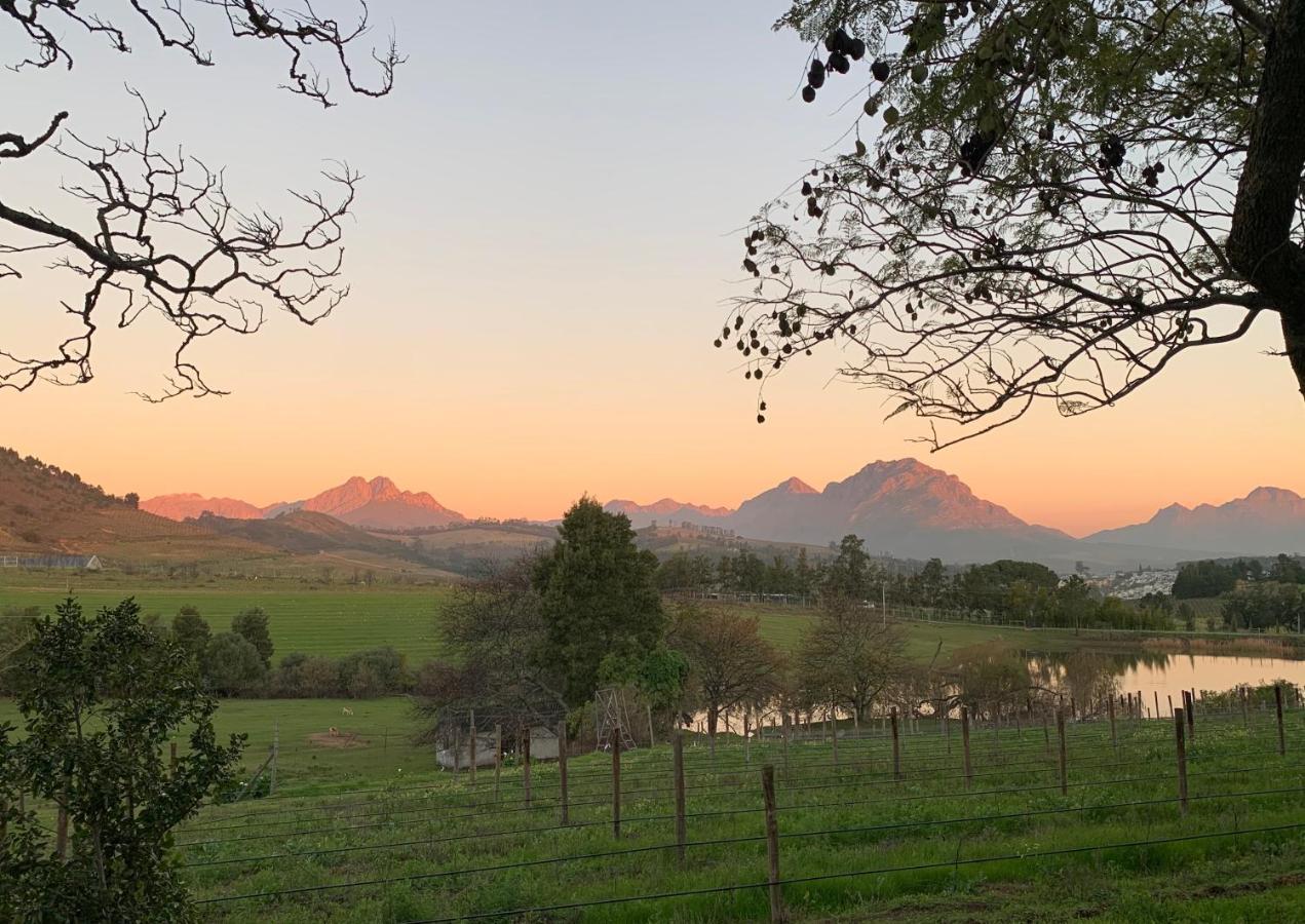 Villa Wildlife Retreat On A Wine-Farm à Stellenbosch Extérieur photo