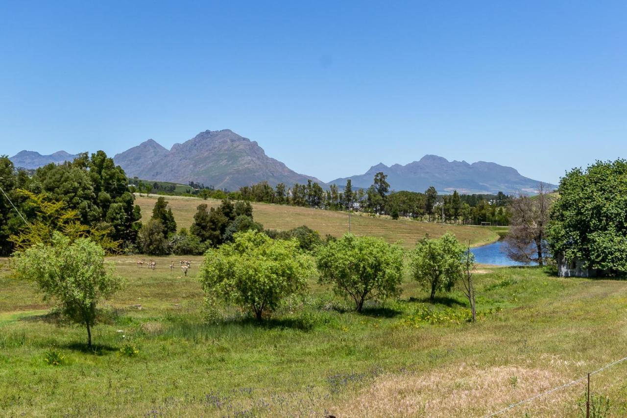 Villa Wildlife Retreat On A Wine-Farm à Stellenbosch Extérieur photo