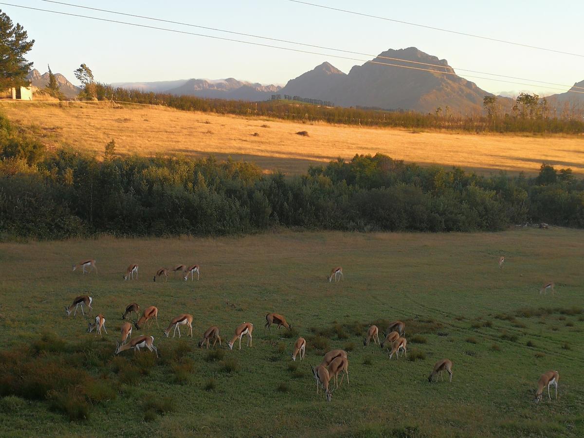 Villa Wildlife Retreat On A Wine-Farm à Stellenbosch Extérieur photo